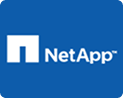 netapp raid data recovery